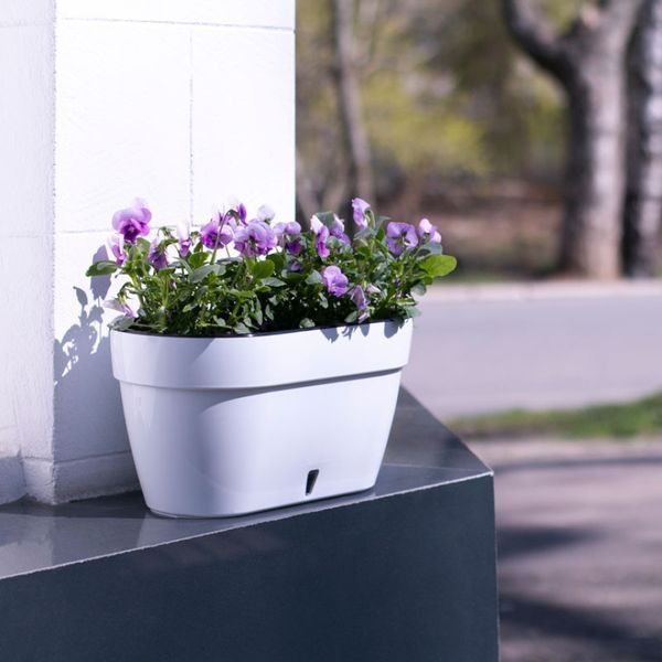 "ASTI Window BOX", білий-чорний, 5.2 л id_491 фото