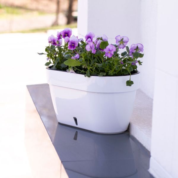"ASTI Window BOX", білий-чорний, 5.2 л id_491 фото