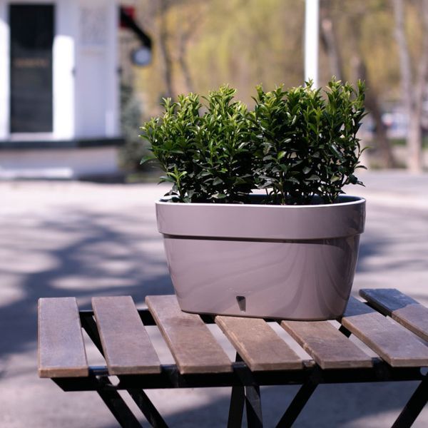 Горщик для квітів "ASTI Window BOX", шаде-білий, 5.2л AST300SHD/WHT фото