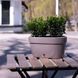 Горщик для квітів "ASTI Window BOX", шаде-білий, 5.2л AST300SHD/WHT фото 6
