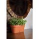 Горщик для квітів "LATINA Window BOX", шаде 6,7 л JL 40 SAD фото 6